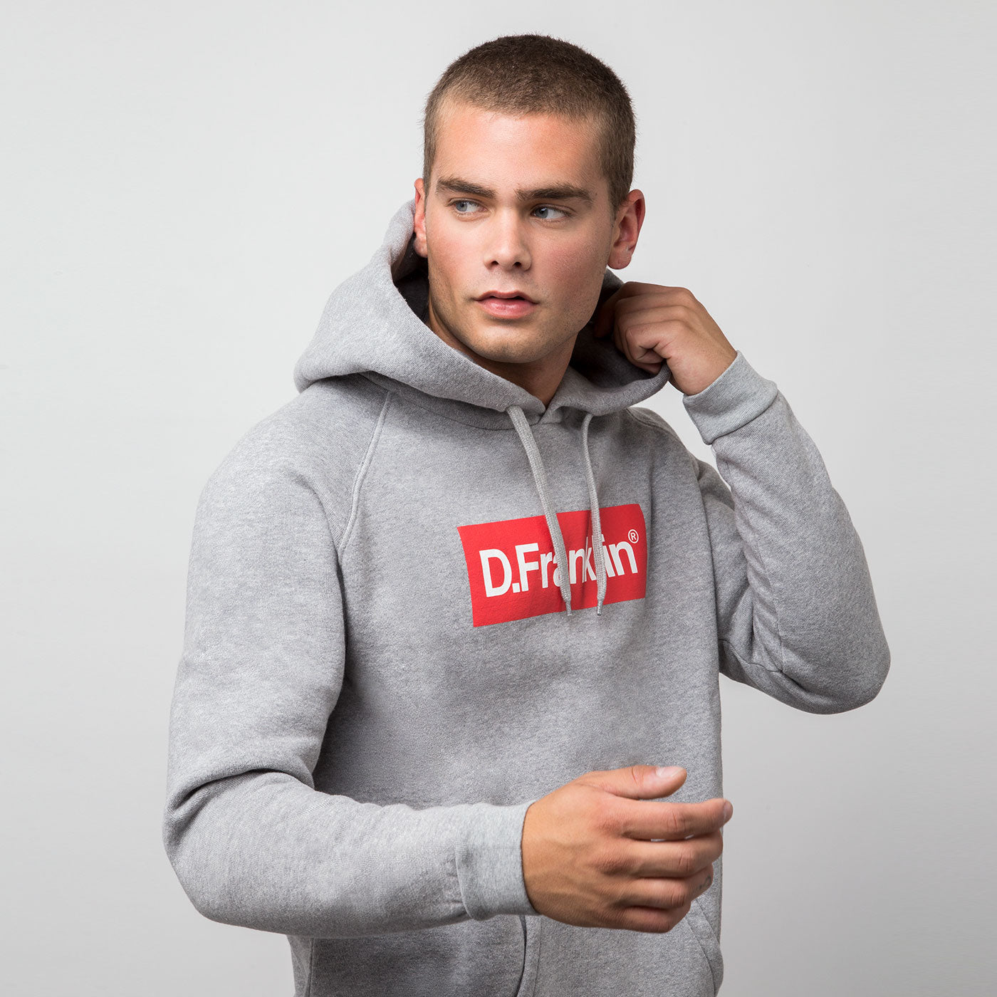 Hoodie Mitic D - Grey