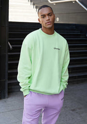 Sweatshirt Oversized D.Franklin Basic Mint