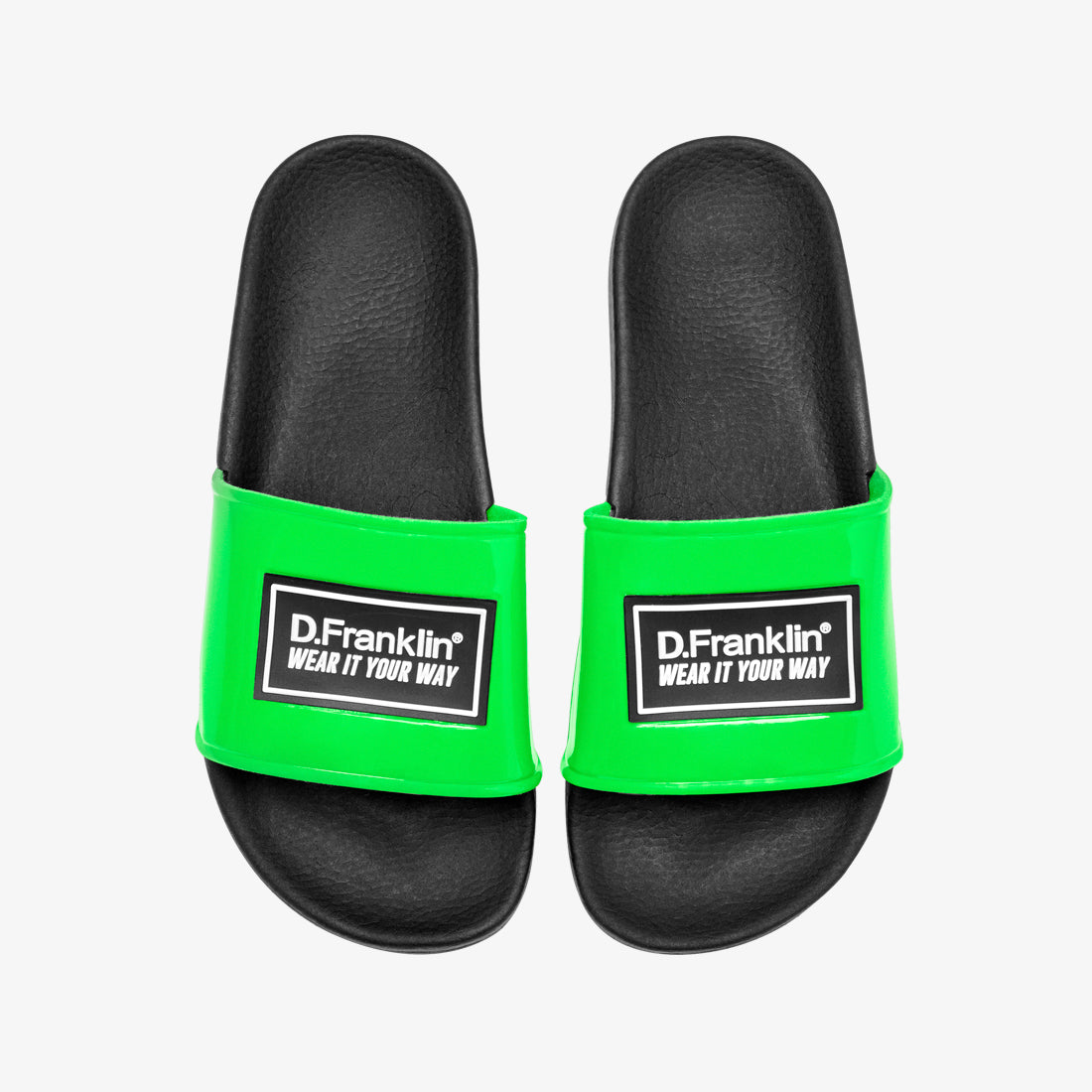 Label Slides Green